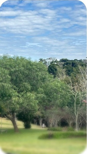 WhatsApp Image 2025-08-07 at 12.32.07