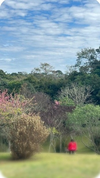 WhatsApp Image 2025-08-09 at 11.25.11